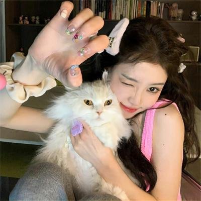 逐梦好莱坞